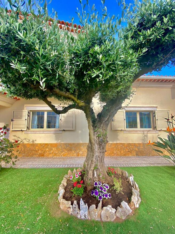 Casa Das Laranjeiras Alqueidão da Serra エクステリア 写真